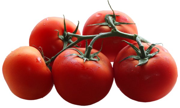 This png image - Tomatoes Branch PNG Picture, is available for free download