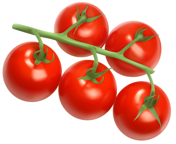 This png image - Tomatoes PNG Vector Clipart Image, is available for free download