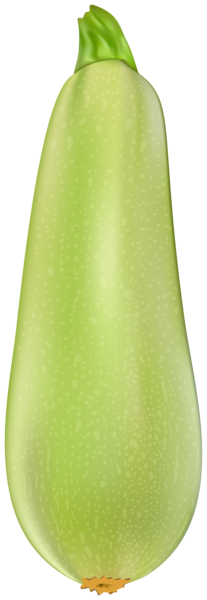 This png image - Zucchini PNG Clipart Image, is available for free download