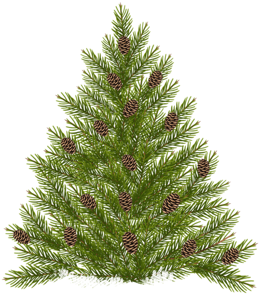 This png image - Pine Tree with Cones Transparent PNG Clip Art, is available for free download