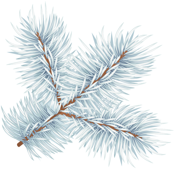 This png image - Snowy Pine Branch PNG Clipart, is available for free download