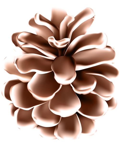 This png image - Snowy Pinecone PNG Clipart, is available for free download