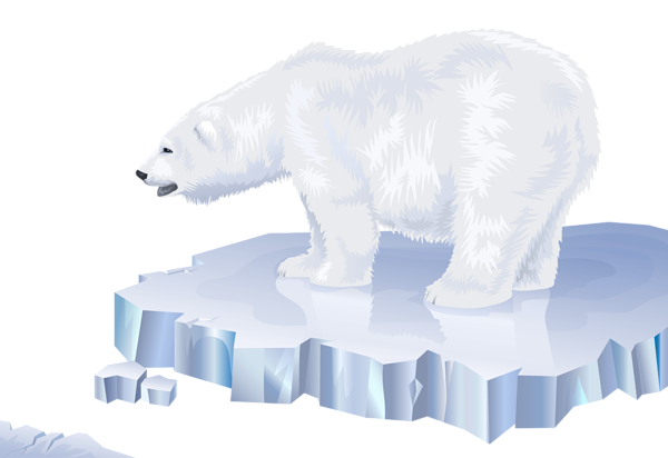 This png image - White Bear Transparent PNG Clip Art Image, is available for free download