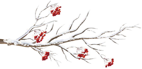 This png image - Winter Branch PNG Clip Art Image, is available for free download