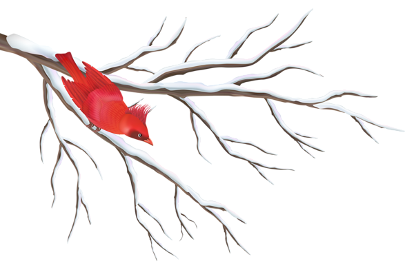 This png image - Winter Branch with Bird PNG Clipart Image, is available for free download
