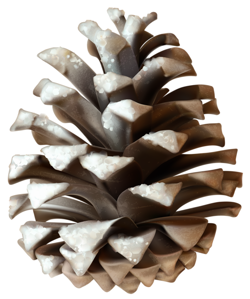 This png image - Winter Pinecone PNG Clip Art Image, is available for free download