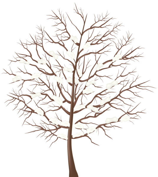Winter Tree Transparent PNG Clip Art Image | Gallery ...