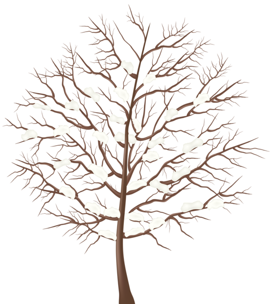 This png image - Winter Tree Transparent PNG Clip Art Image, is available for free download
