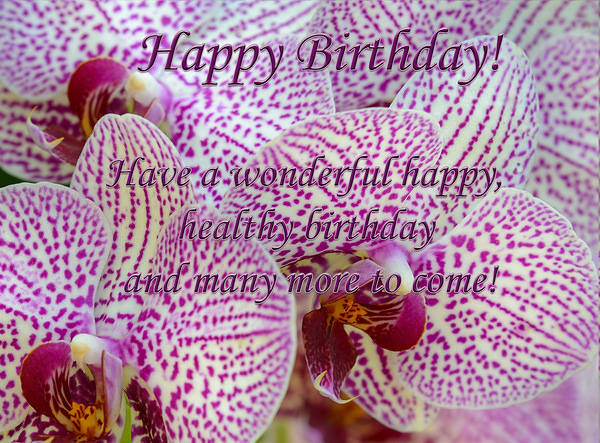 Happy Birthday Card with Orchids | Gallery Yopriceville - High-Quality ...