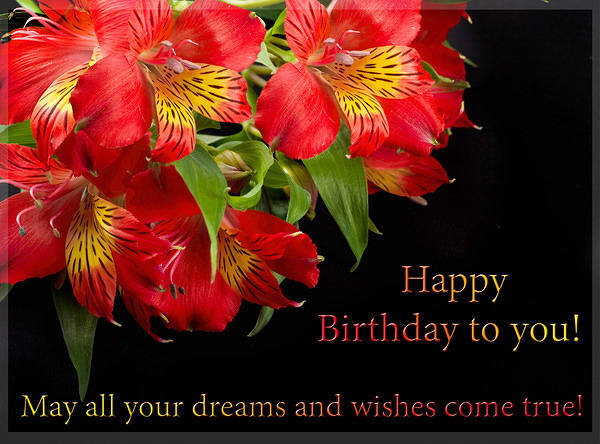 This jpeg image - Happy Birthday Greeting Card with Orchids, is available for free download