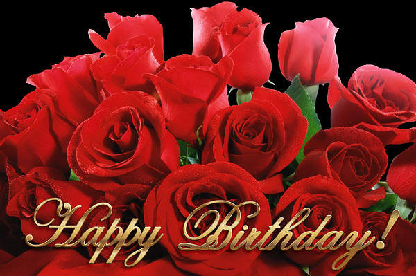 Happy Birthday with Red Rose​ | Gallery Yopriceville - High-Quality Free Images and Transparent PNG Clipart