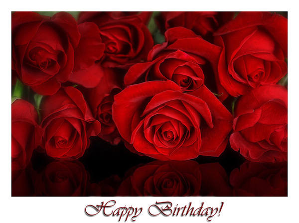This jpeg image - Red Roses Happy Birthday Wallpaper, is available for free download