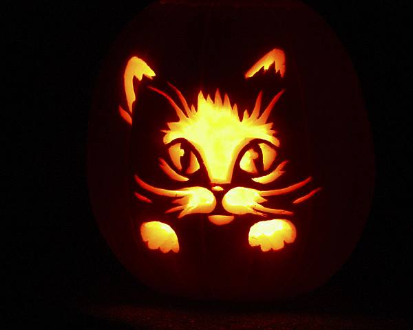 This jpeg image - halloween cat, is available for free download