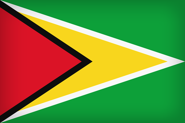 This png image - Guyana Large Flag, is available for free download