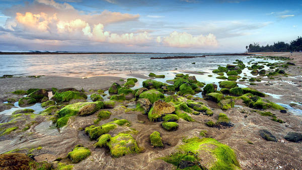 This jpeg image - Beautiful Sea Landscape Wallpaper, is available for free download