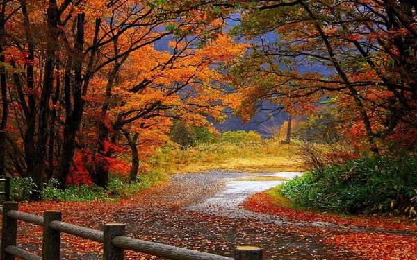 This jpeg image - Colorful Autumn Landscape Wallpaper, is available for free download