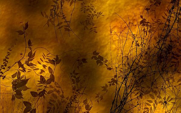 This jpeg image - Golden dusk, is available for free download