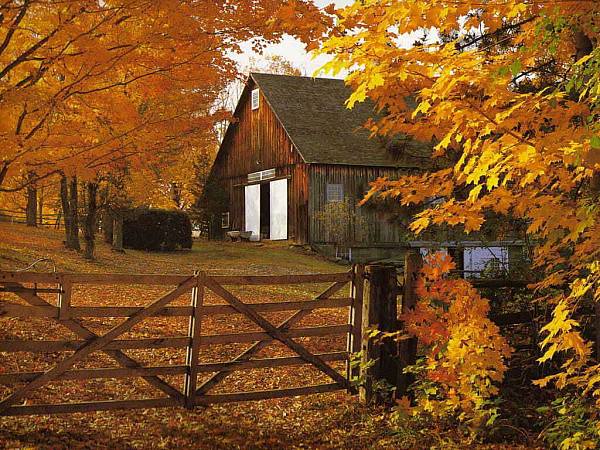 This jpeg image - autumn barn, is available for free download