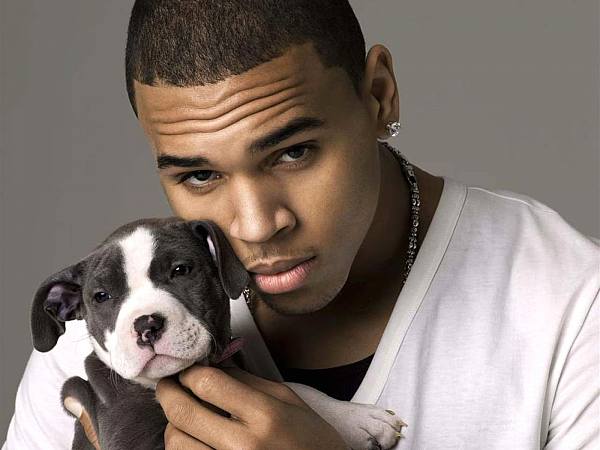 This jpeg image - Chris Brown Wallpaper, is available for free download