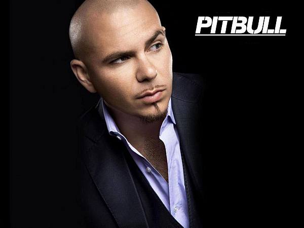 This jpeg image - Pitbul Black Wallpaper, is available for free download