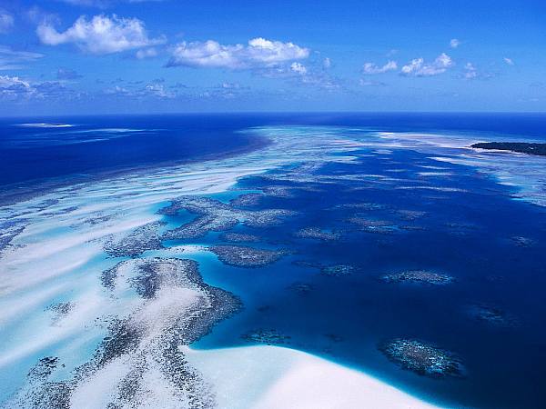 This jpeg image - Coral reef Australia, is available for free download
