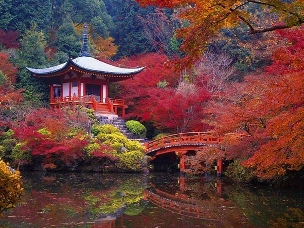 This jpeg image - Daigo ji Temple in Autumn Kyoto Japan Wallpaper, is available for free download
