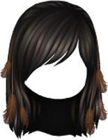 This jpeg image - Wild West Native Feather Hairstyle Black, is available for free download