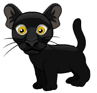 This png image - panther, is available for free download