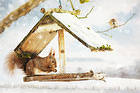 Winter Wallpaper with Squirrel
