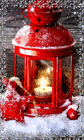 Christmas Animated Picture with Red Lantern