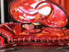 Heart Box Animated GIF Image