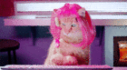 Pinky Cat Gif Animation