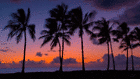Wind on the Beach Animated GIF Image