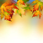 Art Background with Autumn Leaves
