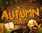 Autumn Background with Book