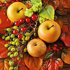 Autumn Background with Fruits