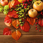 Autumn Background with Fruits and Leaves