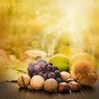 Autumn Background with Nuts and Fruits