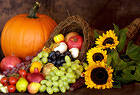 Autumn Background with Pumpkin and Cornucopia