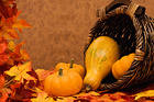 Autumn Background with Pumpkins