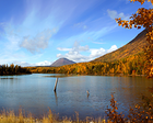 Autumn Lake Background