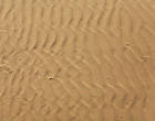 Background Desert Sand Desert