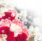 Background with Roses and White Flowers