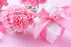 Beautiful Pink Background with Flower and Gift