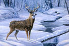 Beautiful Winter Landscape with Deer Background