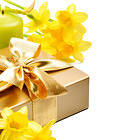 Daffodils with Gift and Candle Background