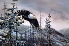 Eagle Flight in Winter Forest Painting Background