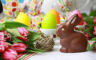 Easter Background with Eggs Choco Bunny and Tulips