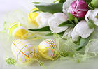 Easter Background with Eggs and White Tulips