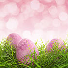 Easter Pink Background with Eggs and Grass